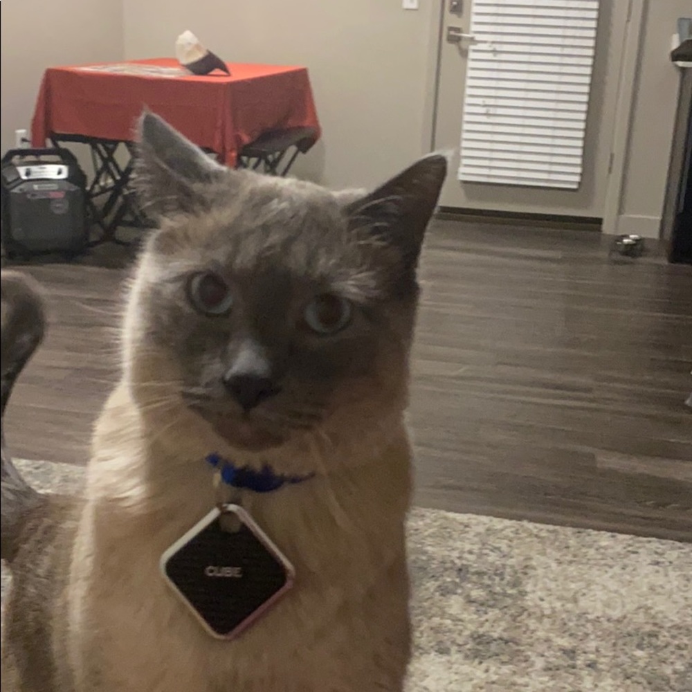 Meet your Posher, Apryl